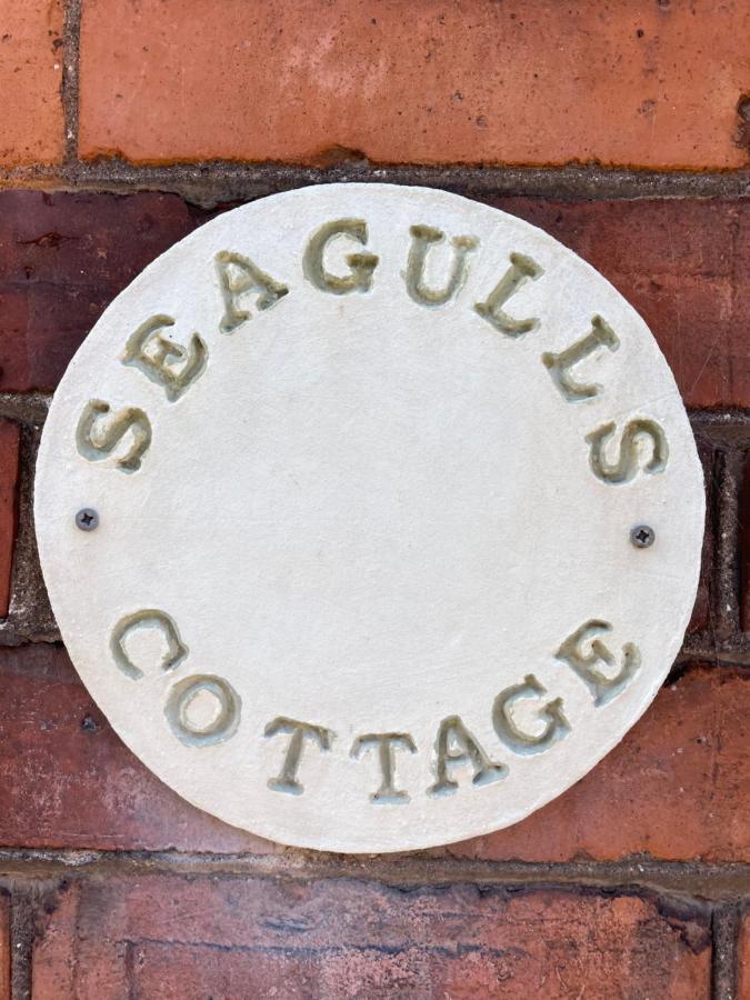 Seagulls In The Heart Of Exmouth